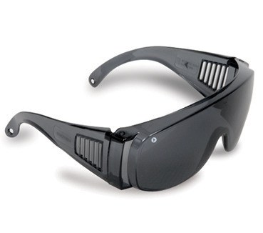 ProChoice Visitors Safety Glasses Smoke Lens - SKU ProChoice:3002